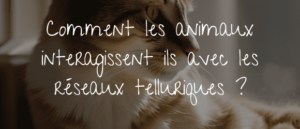 Lire la suite à propos de l’article Comment les animaux interagissent ils avec les réseaux telluriques ?