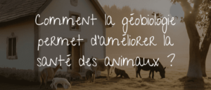 Lire la suite à propos de l’article Comment la géobiologie permet d’améliorer la santé des animaux ?