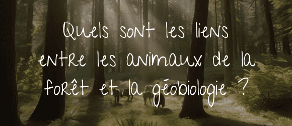 You are currently viewing Quels sont les liens entre les animaux de la forêt et la géobiologie ?